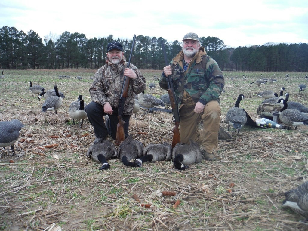 Opportunities abound right now in Maryland to harvest some Canada geese – Pottsville Republican Herald
