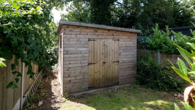 Article thumbnail image