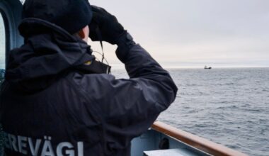 Authorities investigating damage to undersea telecom cable in Gulf of Finland