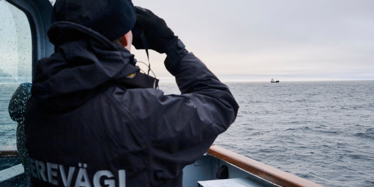 Authorities investigating damage to undersea telecom cable in Gulf of Finland