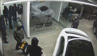 Two suspects charged in multimillion-dollar auto theft at Oakville dealership - CTV News