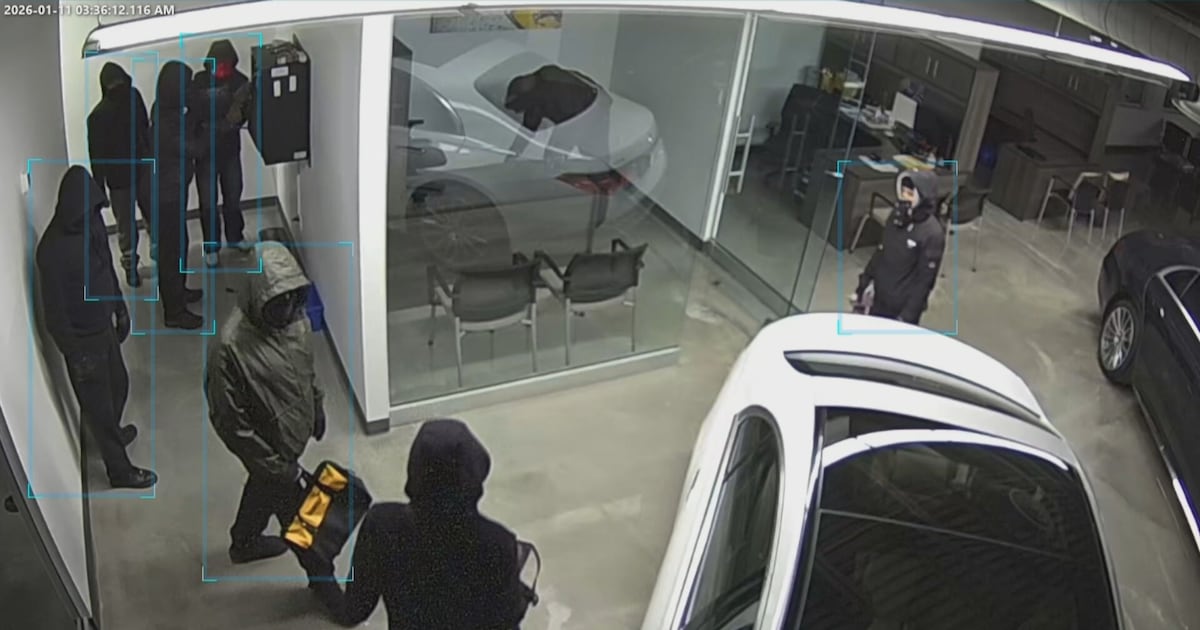 Two suspects charged in multimillion-dollar auto theft at Oakville dealership - CTV News