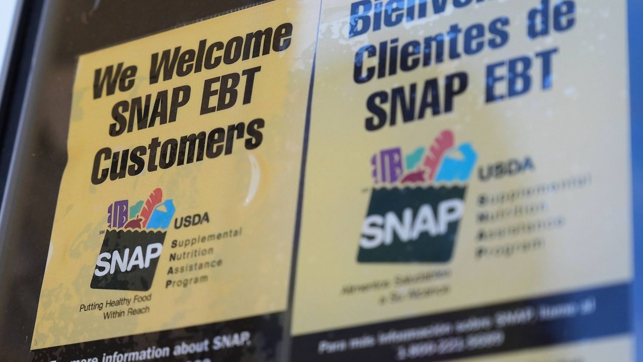 Chipped food stamp debit cards eyed in N.Y. budget