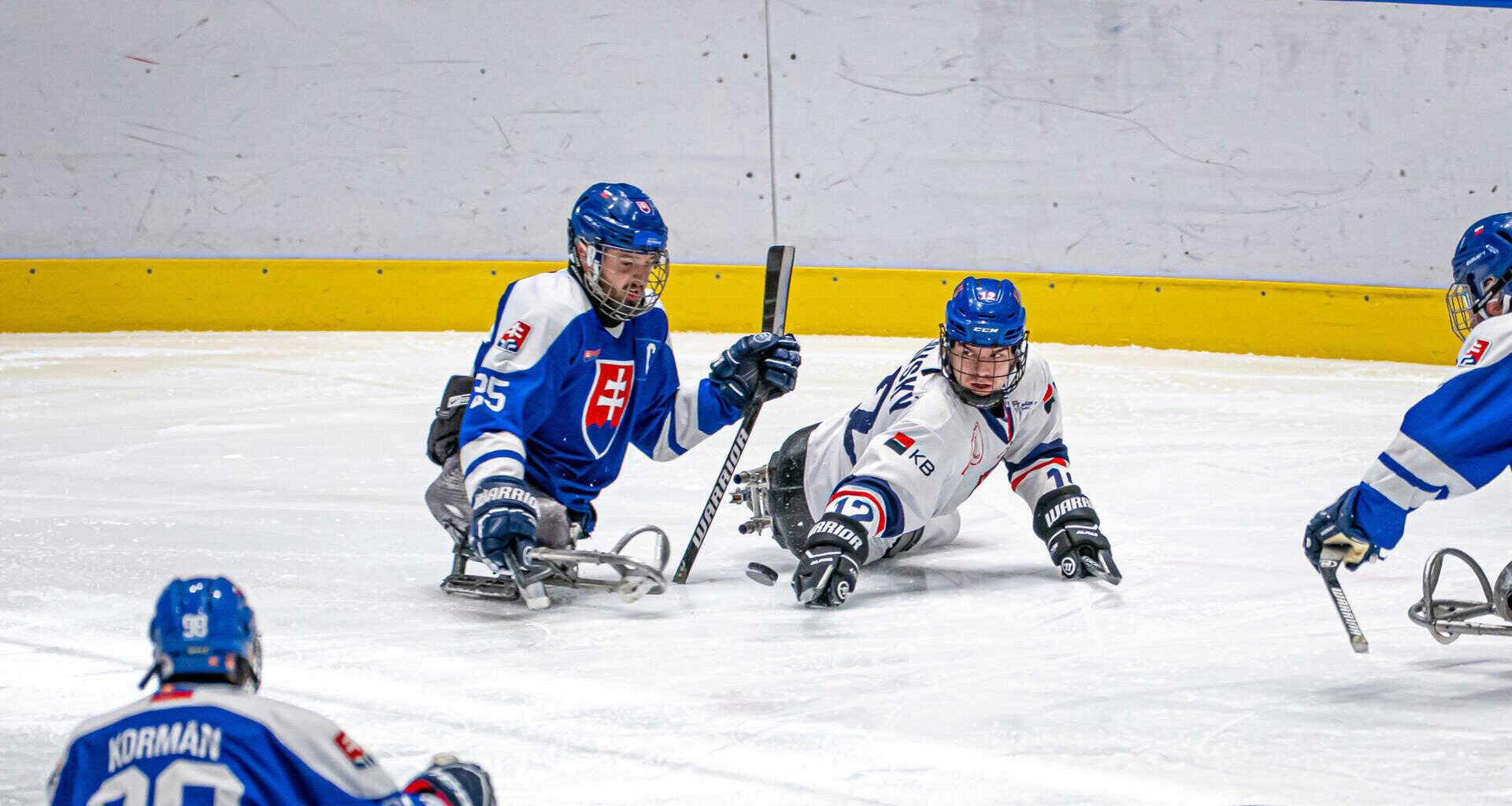 Skvělý vstup do turínského turnaje: Slovensko - Česko 1:8