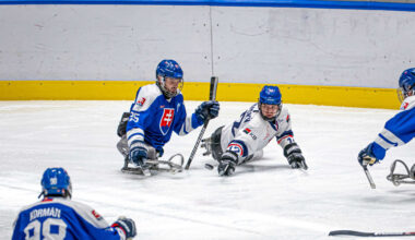 Skvělý vstup do turínského turnaje: Slovensko - Česko 1:8