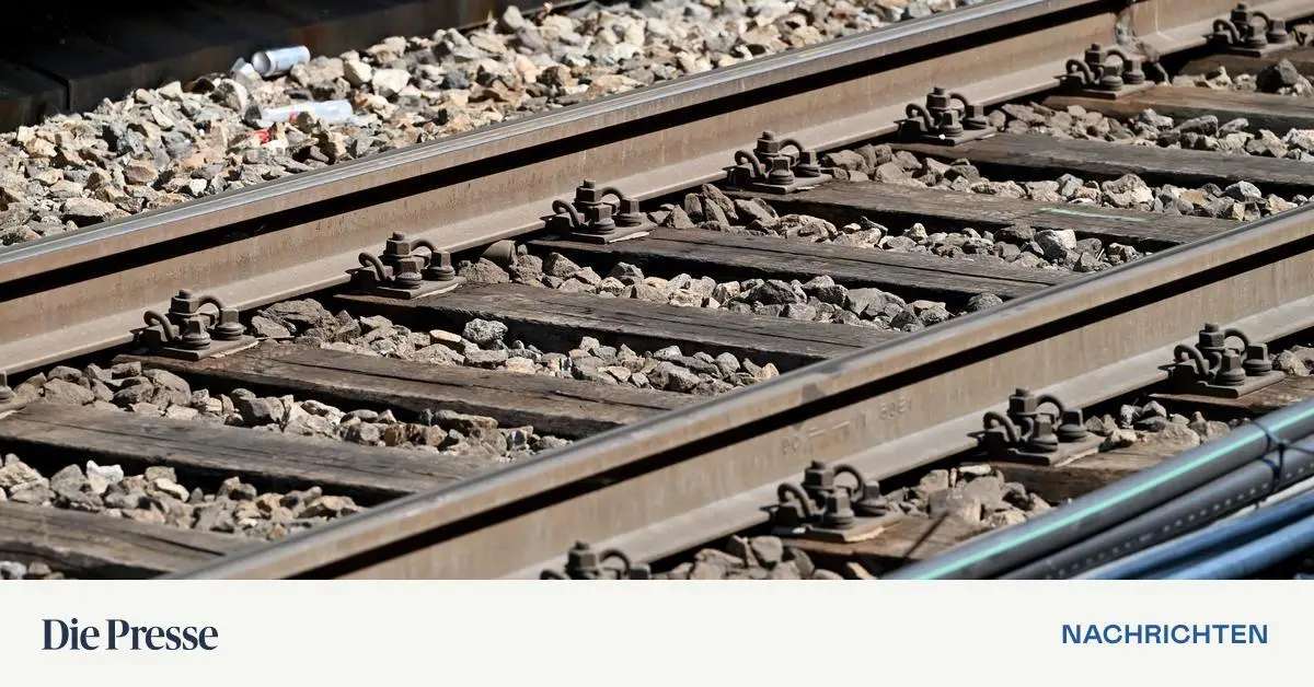 150 Fahrgäste müssen S-Bahn in Tunnel verlassen – DiePresse.com