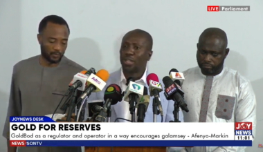 GoldBoD $214m loss amounts to causing financial loss to the state – Afenyo-Markin