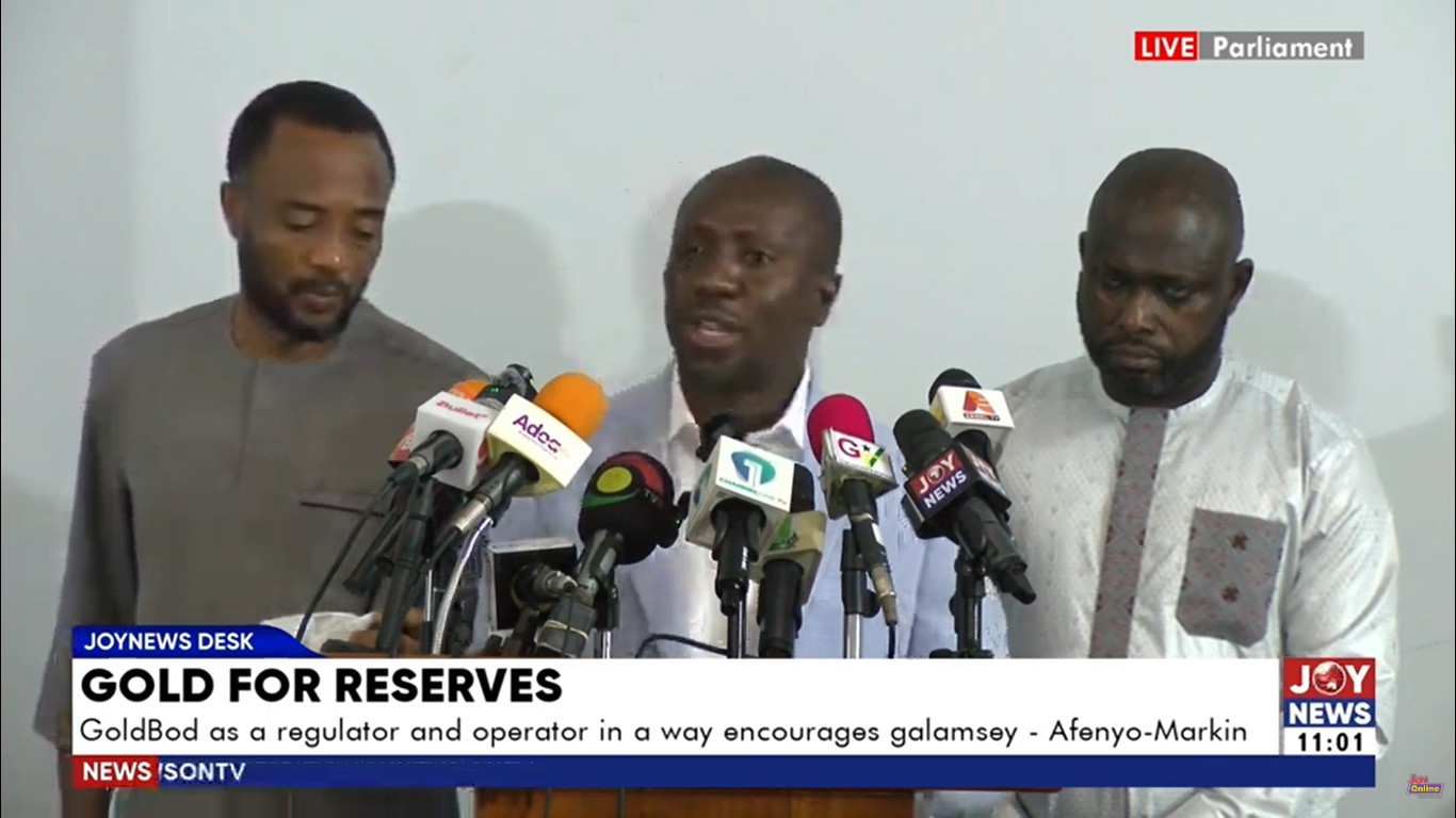 GoldBoD $214m loss amounts to causing financial loss to the state – Afenyo-Markin