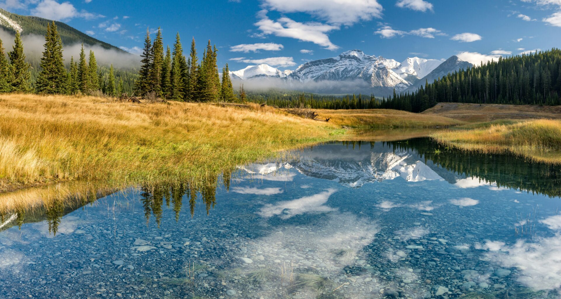 Canada breaks pledge to monitor Pacific salmon as threats mount