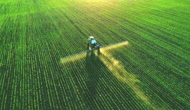 Farmers might find some relief from tariffs