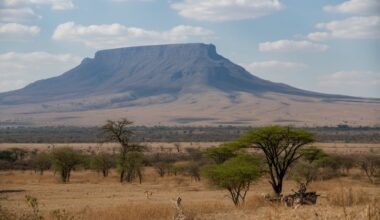 Tanzania Unleashes Explosive Tourism Growth, Dominating European Markets And Redefining Travel Destinations!