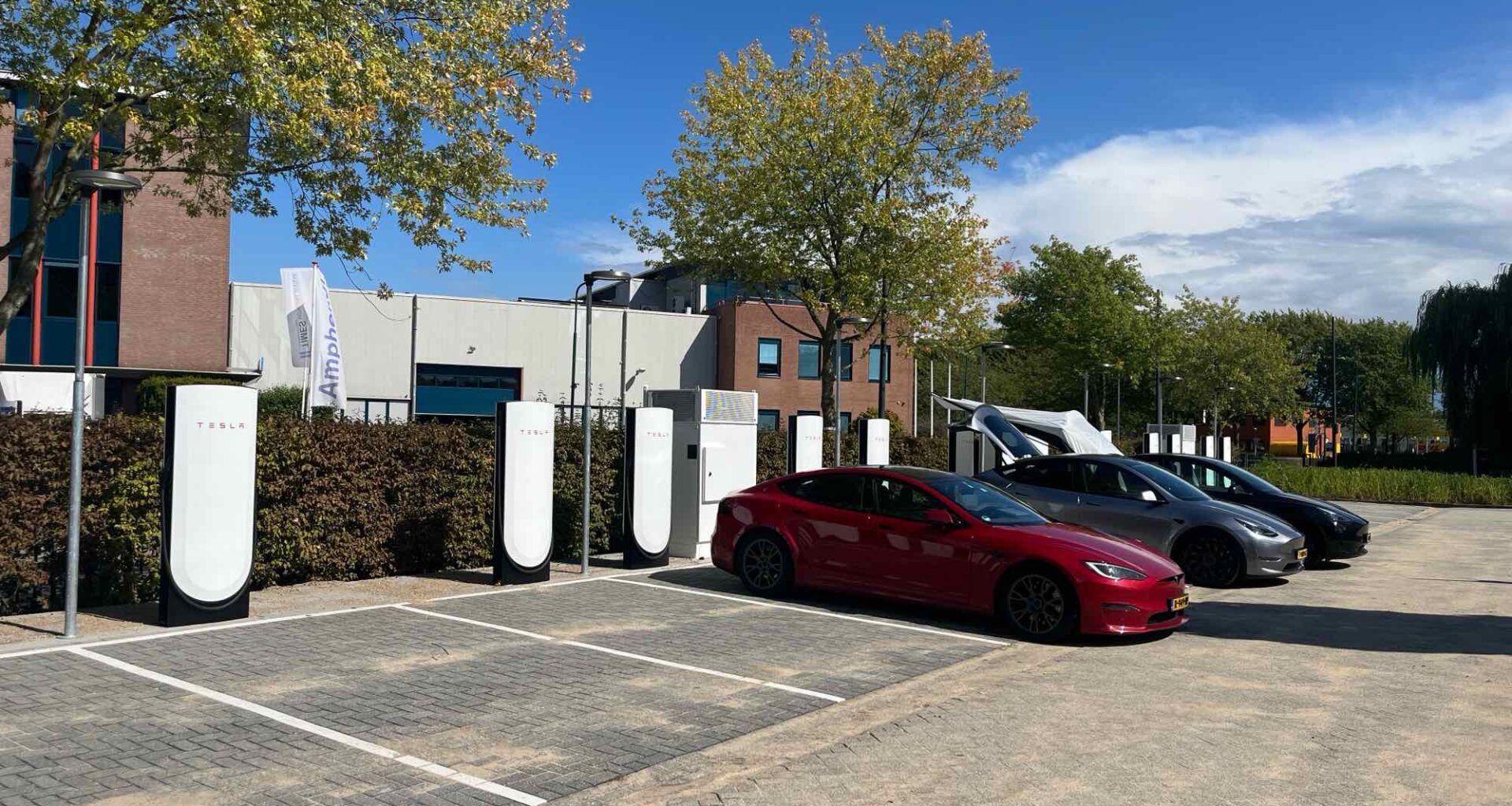 Tesla Sales in the Netherlands Nearly Halve in 2025