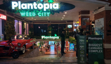 Promise of hemp in Thailand headed for collapse under politics and regulatory retreat