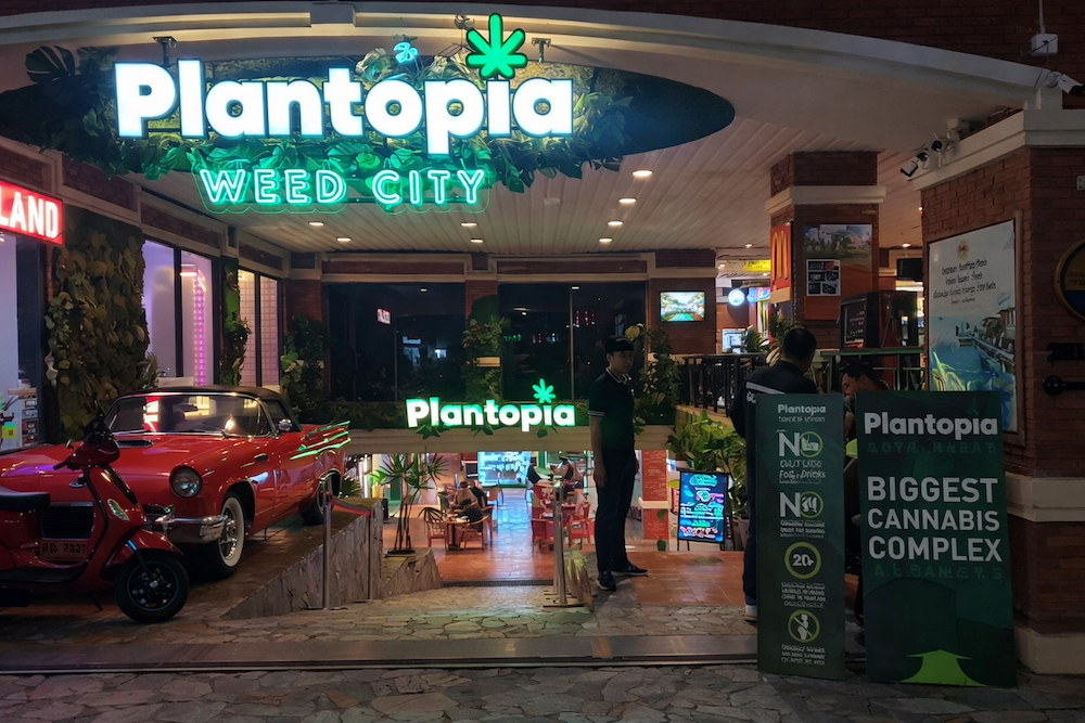 Promise of hemp in Thailand headed for collapse under politics and regulatory retreat