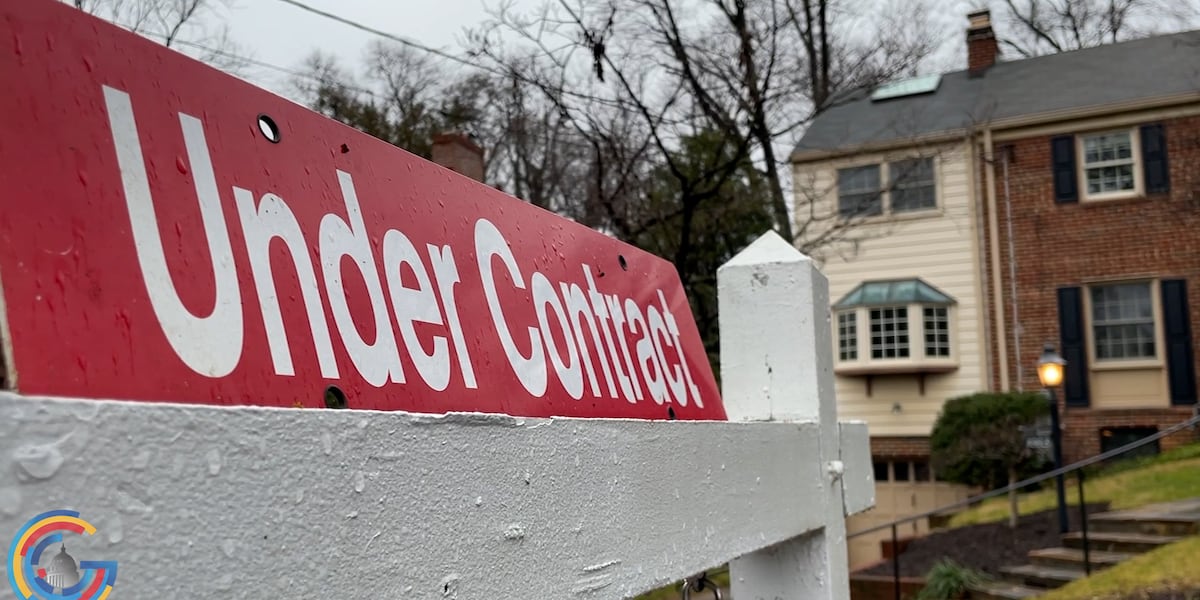 President Trump bans Wall Street investors from buying up single-family homes