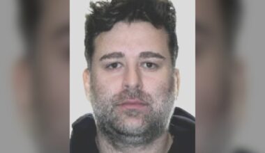 Rolan Sokolovski seeks bail ahead of extradition hearing