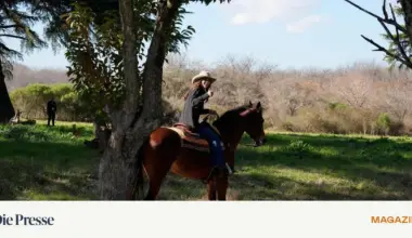 Die ICE-Hardlinerin, die an Trumps Fäden hängt – DiePresse.com