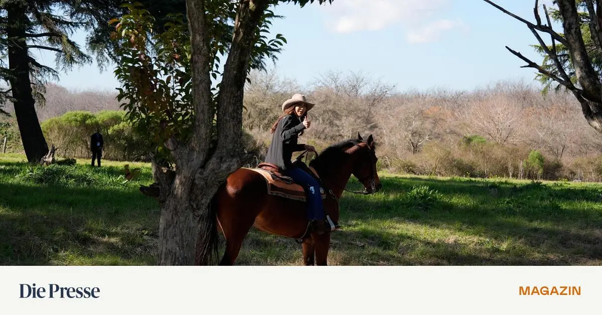 Die ICE-Hardlinerin, die an Trumps Fäden hängt – DiePresse.com