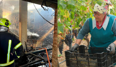 Ukraine's wine industry endures hardships and adapts amid ongoing war