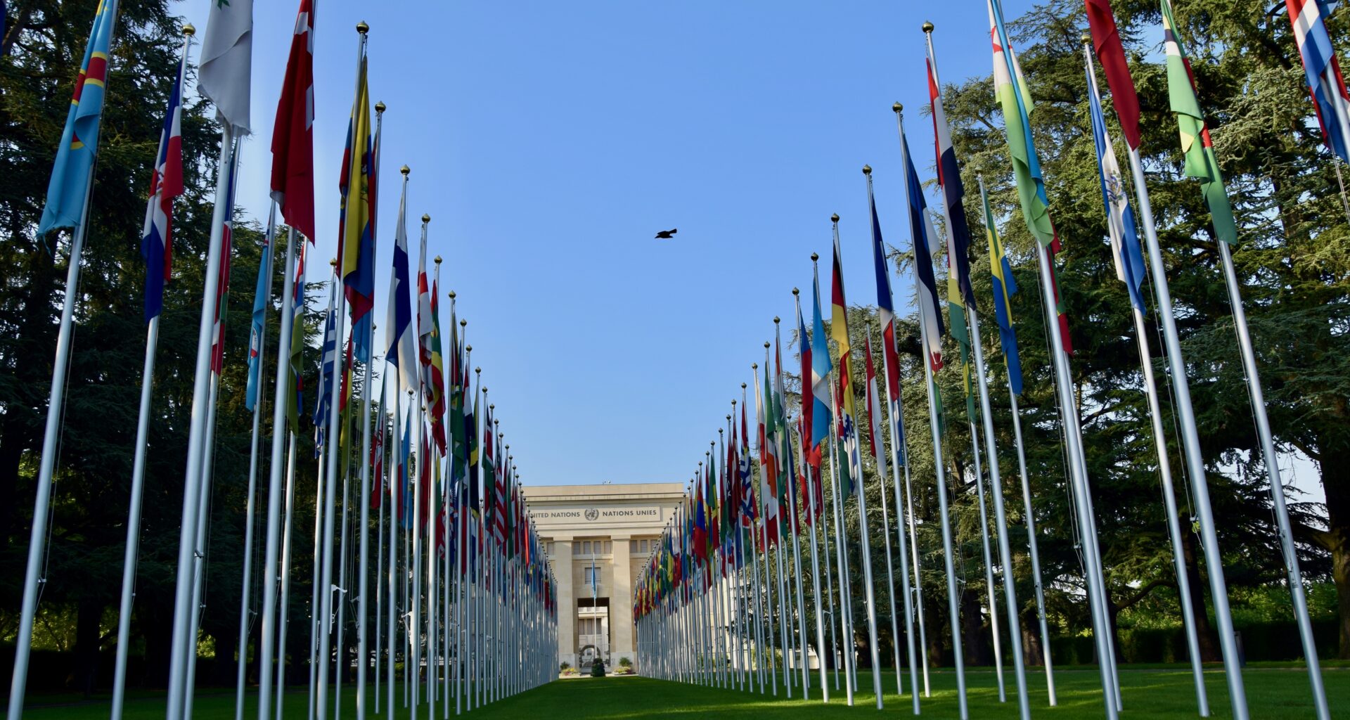 UN Committee finds Australia breached torture convention for detention of Iran asylum seeker - JURIST