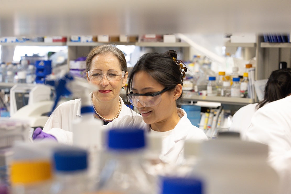 U of T ranked 1st in Canada, among top 30 globally, in all subjects: Times Higher Education