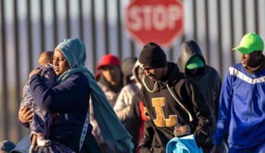 Top 10 African countries with the most immigrants on welfare in the United States