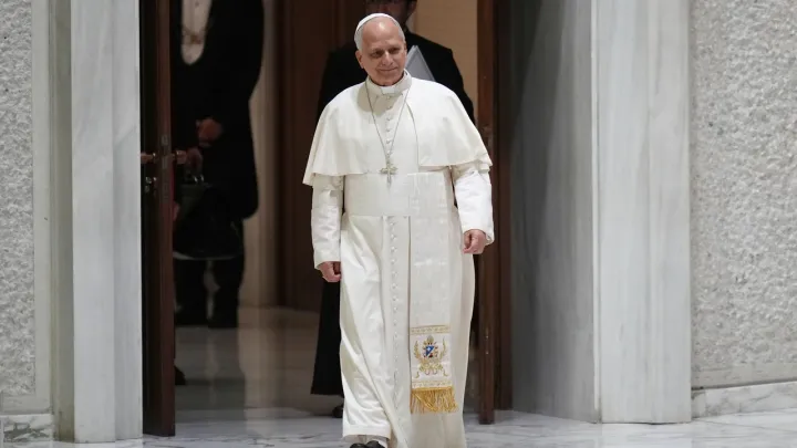 Pope Leo to tour Africa, Vatican representative says