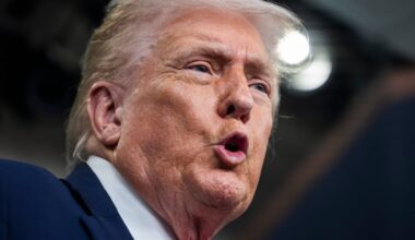 Ireland in the crosshairs if European Union ever retaliates to any Trump tariff threat – The Irish Times