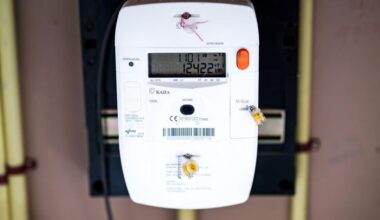 Netbeheerders kopen 4 miljoen slimme meters in China, Kamer bezorgd over afhankelijkheid