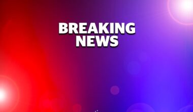 Overturned livestock trailer causing delays on SH2 near Wairoa