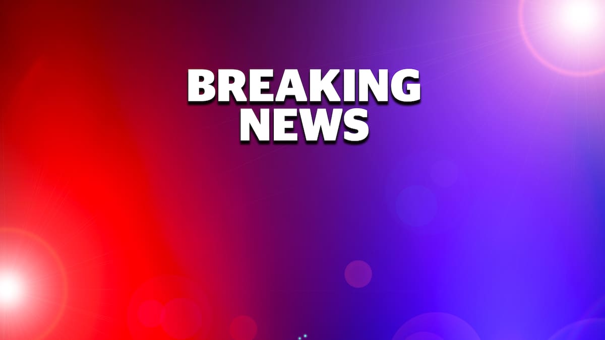 Overturned livestock trailer causing delays on SH2 near Wairoa