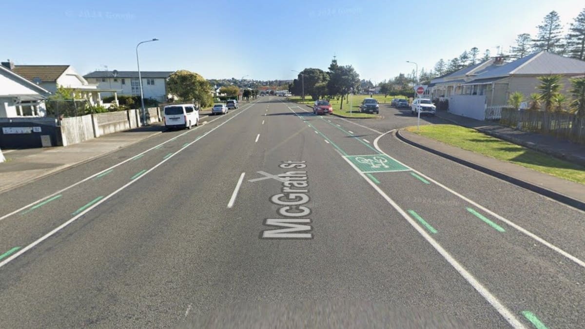 Napier road death: Police name man who died in hospital after being struck on Boxing Day