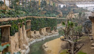 La plus grande serre tropicale du monde ouvre ses portes en Belgique et créé déjà la polémique: "Le confort de visite et le respect du vivant priment"