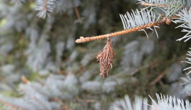 3 tactics to reduce pesticides and their impact on the environment