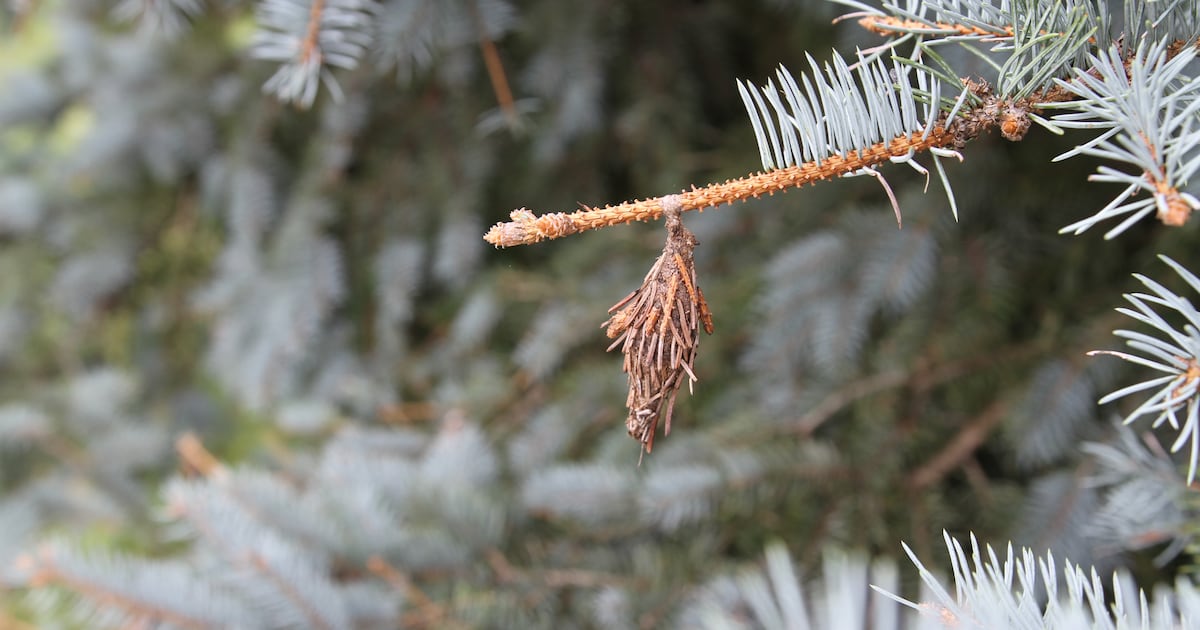 3 tactics to reduce pesticides and their impact on the environment