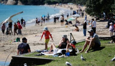 Weather: Extreme heat, severe winds take hold across NZ with roads blocked and fire risk rising