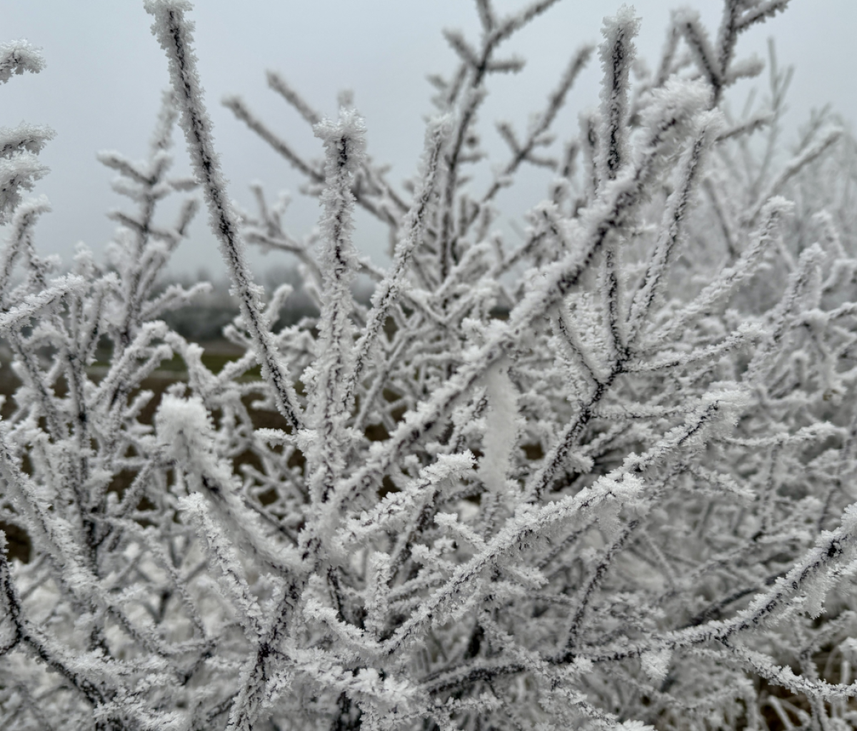 Zima se vrací: Česko čeká mráz, sněžení i ledovka