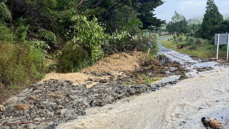 A photo supplied to RNZ shows a slip on SH35.