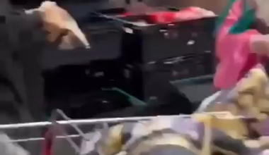 Why is Sainsbury’s importing them from Israel?