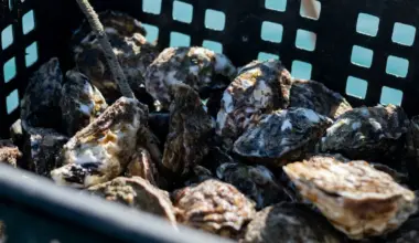 Legolvasottabb cikkeink novemberben - ORIGO