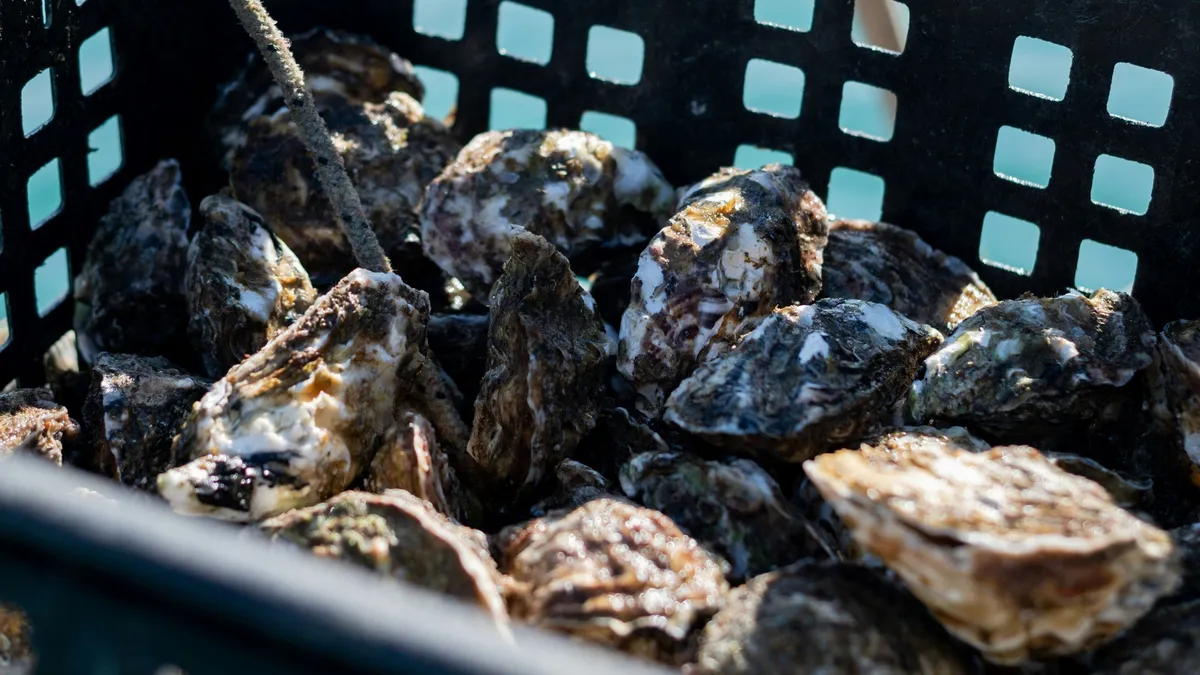 Legolvasottabb cikkeink novemberben - ORIGO