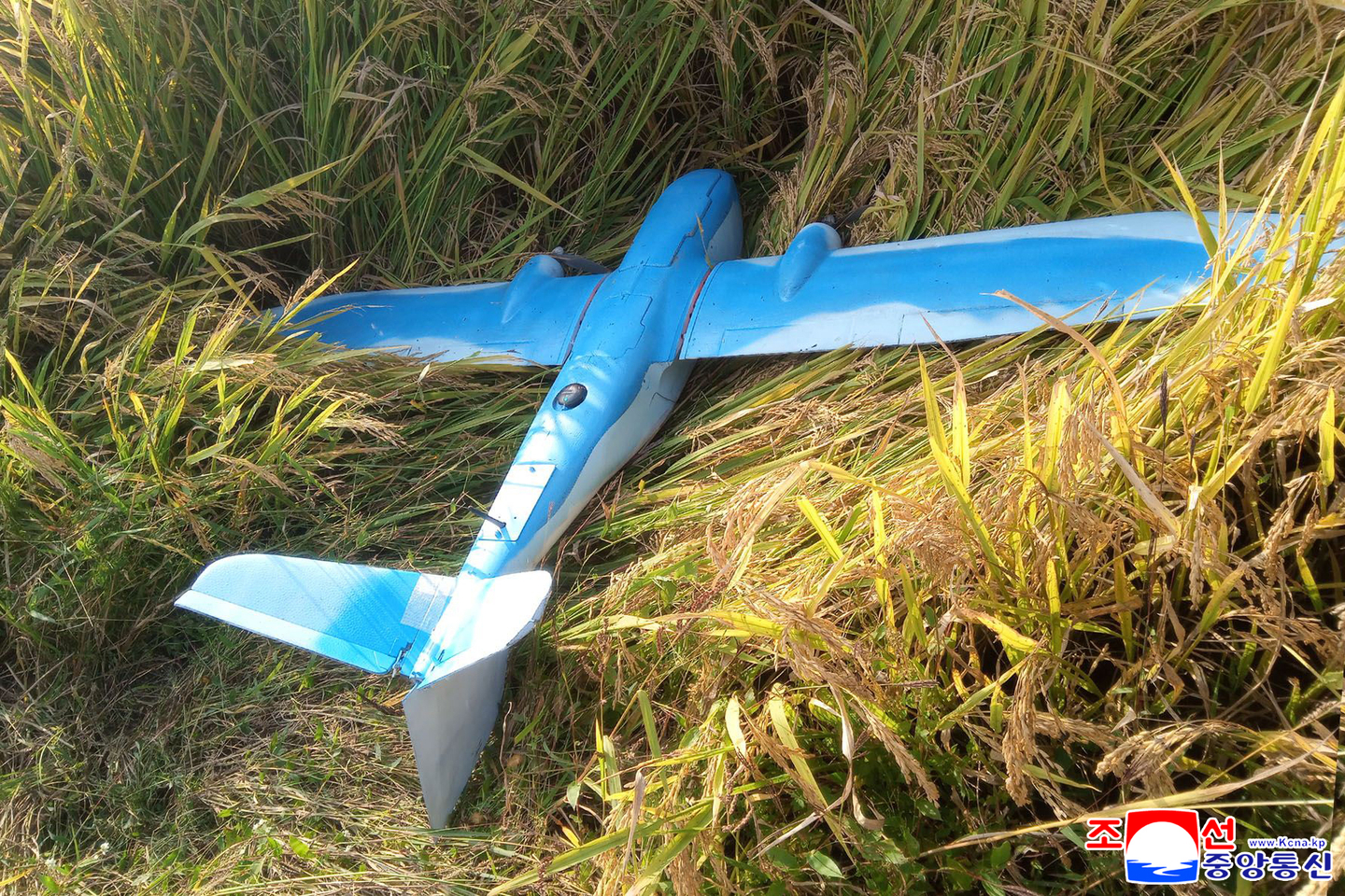 This photo, carried by the North's state-controlled Korean Central News Agency on Jan. 10, shows what North Korea claimed was a drone sent by South Korea on Sept. 27, 2025. The North's military said it struck the drone with its electronic means, forcing it to fall in Jangphung County in the North's border city of Kaesong. [YONHAP]