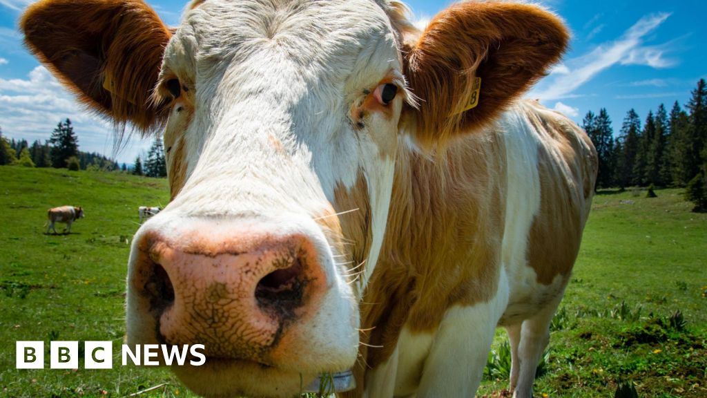 From blue-green algae to bluetongue virus