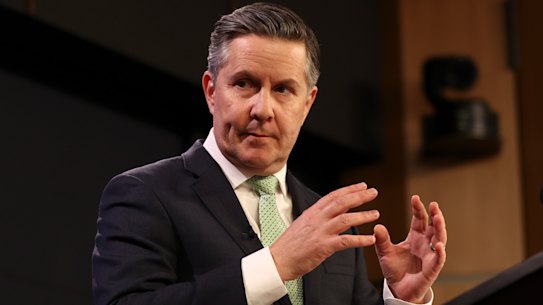 Minister for the NDIS Mark Butler at the National Press Club on Wednesday.