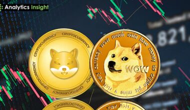 SHIB and DOGE Gain as Memecoin Volume and Open Interest Rise