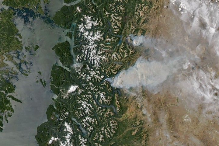 Fire Threatens Rare Forests in Argentina