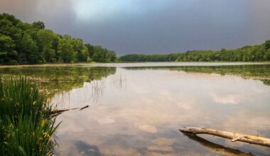 WMU, Kalamazoo County explore transitioning management of Asylum Lake Preserve from university to county | WKZO | Everything Kalamazoo