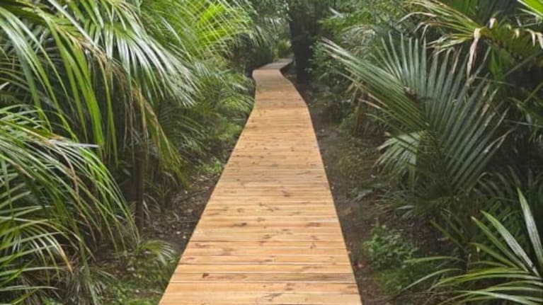 A rebuilt section of the Auckland Domain's Lovers Lane track.