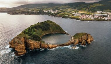 Portugal archipelagos growing - The Portugal News