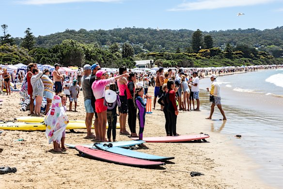 Swimmers in Lorne evacuated the water on Tuesday after a shark was spotted near the pier.